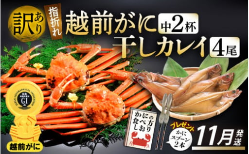 【訳あり】旨さに自信あり！人気の海の幸セット🦀🐟