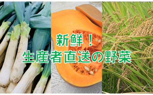 8月31日は「野菜の日」！