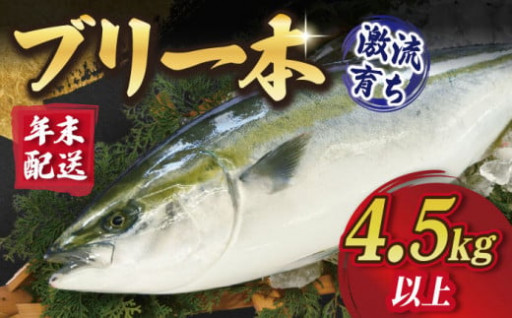 【人気ランキング第1位！年末お届けのブリ！】　今年の受付を開始しました！