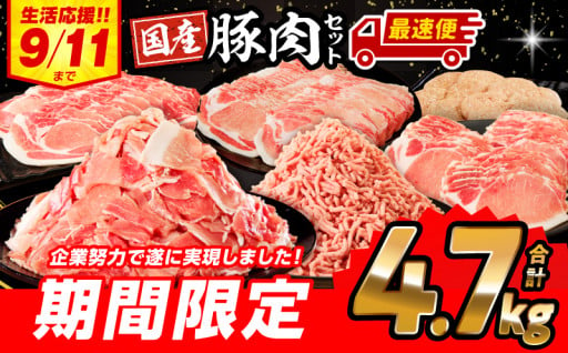 【宮崎県宮崎市】豚肉バラエティセット4.7kg 