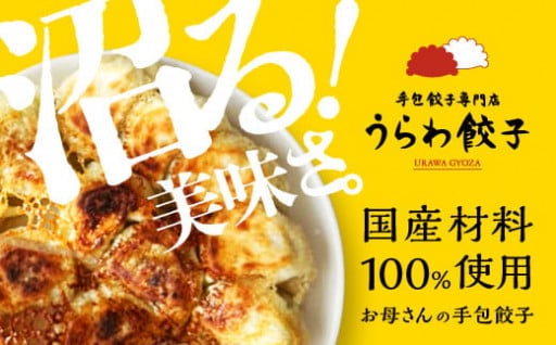 うらわ餃子　レギュラー10個・しそ10個・バジル＆チーズ10個セット