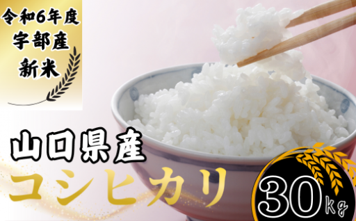 【先行予約／令和6年度新米】山口県宇部市産！ ヒノヒカリ, コシヒカリ, ひとめぼれ 30Kg