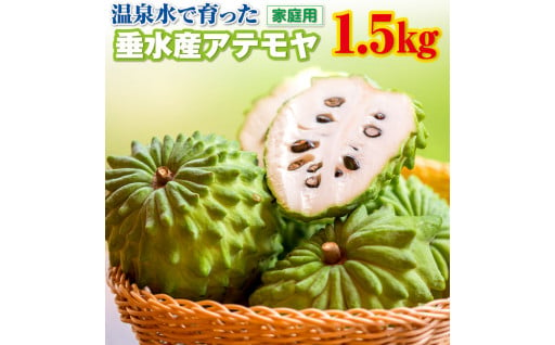 🍐訳あり鹿児島県産アテモヤ 森のアイスクリーム🍐