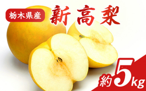 【〆切間近🏃🏻‍♂️】🍐🍐新高梨（約５kg）🍐🍐