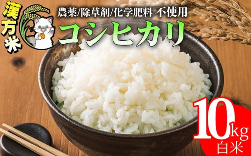 漢方米 白米 10kg こしひかり