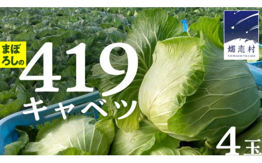 ＼TVで紹介／まぼろしの419キャベツ