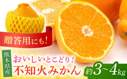 【先行予約】不知火 みかん 約3kg〜4kg 化粧箱入り 贈答用【株式会社 鹿本町振興公社（水辺プラザ鹿本）】