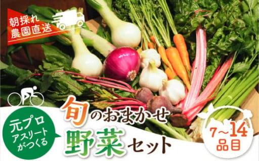 季節の野菜セット 7～14品目 品目おまかせ のため 訳あり