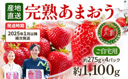 🍓ダンケのあまおう受付始めました🍓