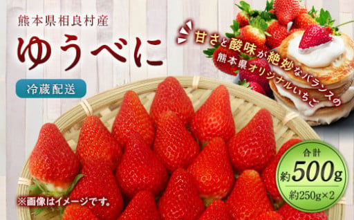 【2024年12月上旬～2025年4月下旬発送予定】相良村産 いちご「ゆうべに」250g×2パック