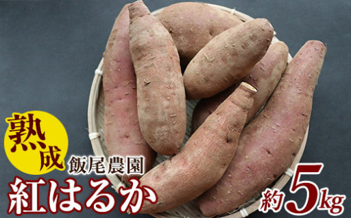 潮風を受けてミネラル豊富な畑で育てられた飯尾農園 熟成紅はるか約5kg