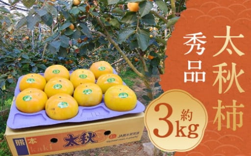 太秋柿 秀品 約3kg（約8～14個）【2024年10月下旬～11月下旬発送予定】