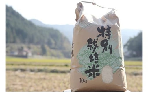 【エコ７０】🌾🌾ヒノヒカリ（7kg）🌾🌾