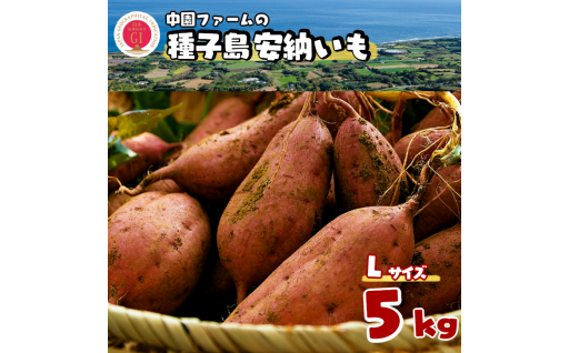 本場・安納地域産の【安納いも（生いも）Lサイズ】５ｋｇ！