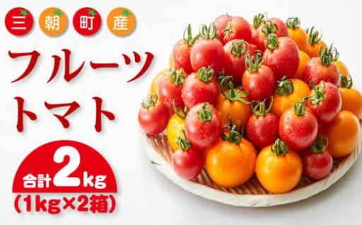 【人気返礼品・大容量】フルーツトマト 三朝町産 2kg × 1箱