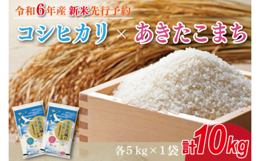 ★新米先行予約★【数量限定】R6年産 コシヒカリ 5kg＋あきたこまち 5kg　茨城県産米(HA-1)