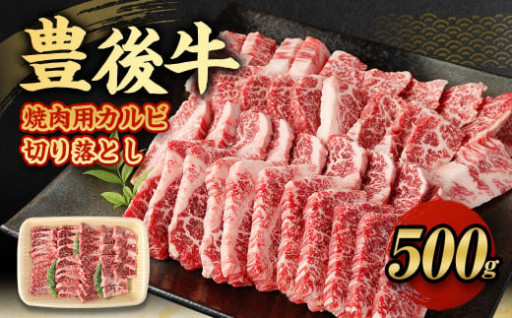 【大分県産】豊後牛 焼肉用 カルビ 切り落とし 500g