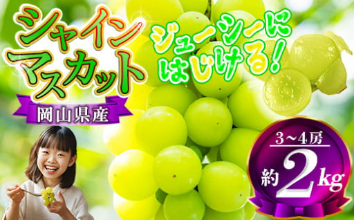 岡山県産 シャインマスカット 約 2kg 前後（3房～4房）9月～発送予定 
