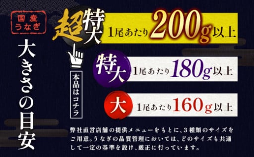 特大 うなぎ 蒲焼4尾 計800g以上 鰻楽