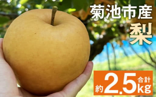 菊池市産 旬の梨 約2.5kg