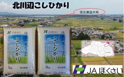 【令和６年産　新米】北川辺こしひかり　精米10㎏