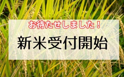 ★安来のお米★新米受付を開始しました