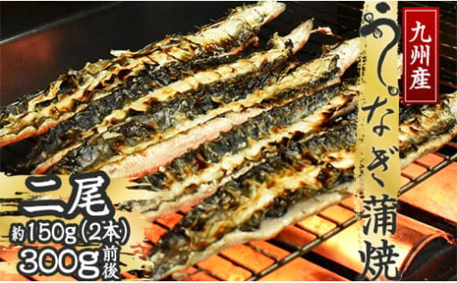 国産うなぎ ふっくら肉厚 有頭 蒲焼 2尾 150g