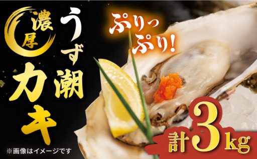  【着日指定可☆オゾン水で24時間浄化】【冷蔵】うず潮 カキ約3kg（約30～50個）