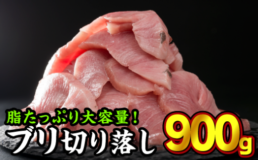 1ヶ月以内でのお届け 生食用 ブリ 切り落し 大満足900gセット（150g × 6パック） 小分け 人気 ぶり