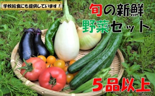 【数量限定】小国の旬の新鮮野菜セット　5品以上