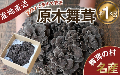 丹波山村産 原木舞茸 約1kg 無農薬無添加 原木栽培 産地直送！