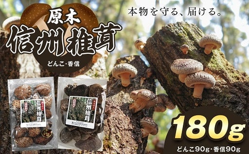 【９月終了】信州椎茸 どんこ・香信 干ししいたけ セット