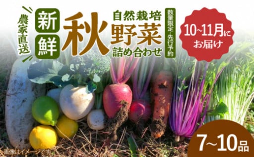 ＼旬の野菜盛だくさん！／秋野菜の詰め合わせ 7～10品目