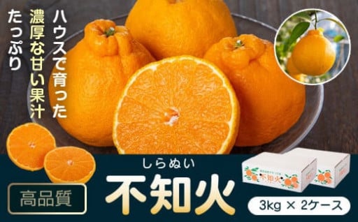 ＜先行予約受付中！＞肝付町産不知火(計6kg)