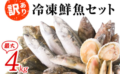 冷凍鮮魚セット 最大4kg 「漁師応援プロジェクト！」 