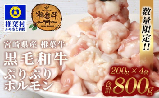 宮崎県産 椎葉牛 ぷりぷりホルモン（小腸）もつ鍋・焼肉用 200g×4P（800g）