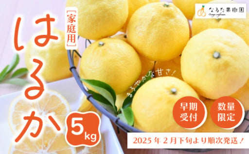 【早期受付】四万十市産 はるか5kg