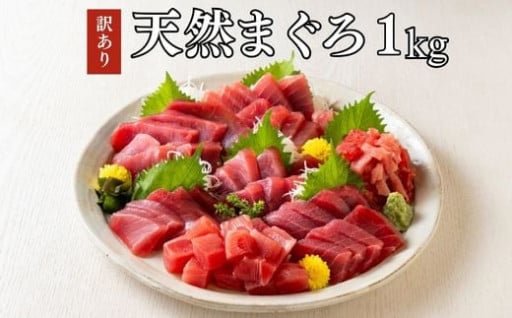 【訳あり】天然三崎まぐろ1kg 不揃い赤身 