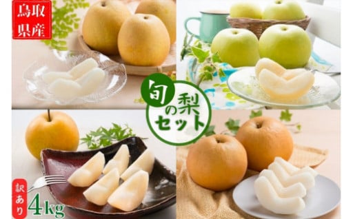 旬の梨が楽しめる!!🍐【訳あり】鳥取県産旬の梨セット4kg