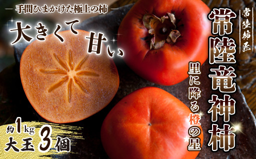 【高級ブランド柿】樹上脱渋で手間暇かけた大きくて甘い柿「 常陸竜神柿 」の先行予約がスタートしました。