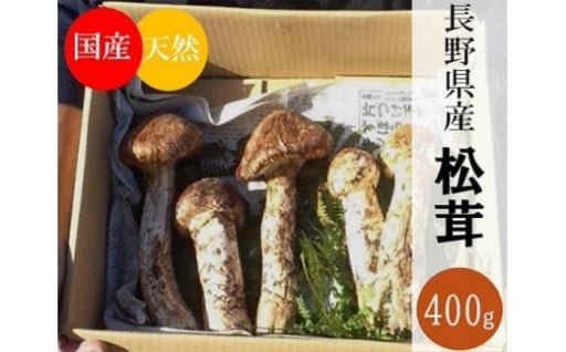 国産 天然 長野県山形村産 マツタケ 約400g