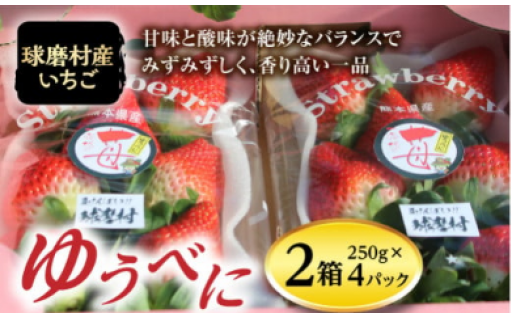 🍓球磨村産いちご🍓予約開始しました！