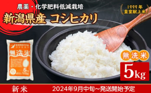 ★令和6年産★手間いらずの【無洗米】農薬と化学肥料を50％以上低減🏞️