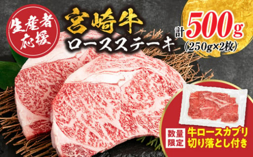 ＼牛ロースカブリ付き✨／宮崎牛ロースステーキ500g🐮【宮崎県日南市】