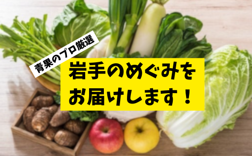 【目利きの青果店厳選】おまかせ野菜セット