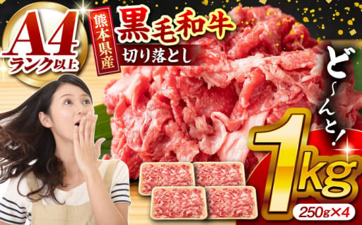 熊本県産 黒毛和牛 切り落とし 計約1kg (約250g×4P)【有限会社九州食肉産業】