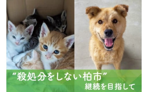 【GCF】柏市 人と動物の共生プロジェクト