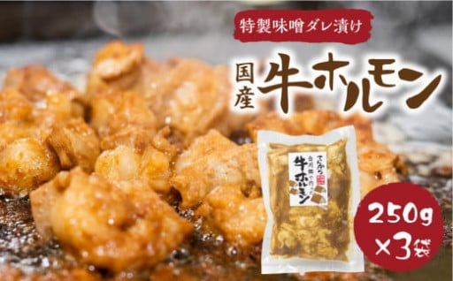 白川郷 自家製 牛ホルモン 250g×3袋セット