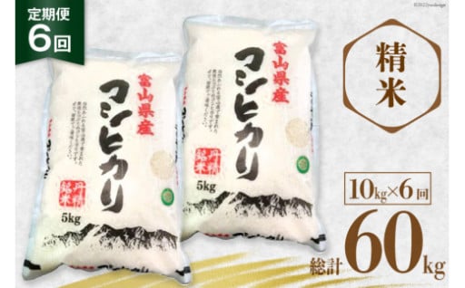 コシヒカリ 精米 10kg×6回