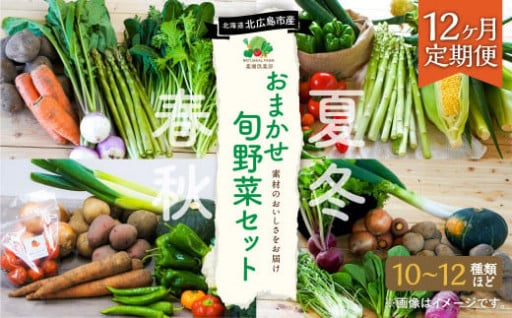 【12ヶ月定期便】 おまかせ旬野菜セット